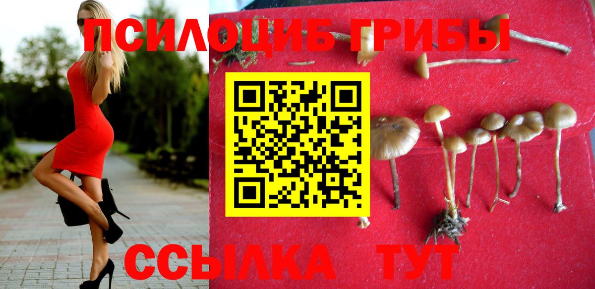 Ялуторовск  Псилоцибиновые грибы мицелий  Вход с VPN 